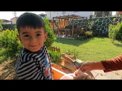 Köyde İlk Defa Mantar Yemeği Yaptık Nar Hasadı Akşam Yemeği