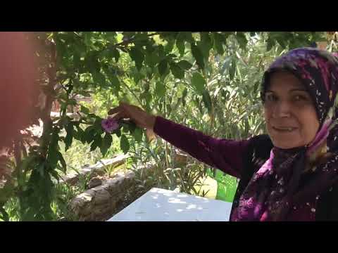 BU KAHVALTININ LEZZETİNE DOYUM OLMUYOR En Güzel Pratik