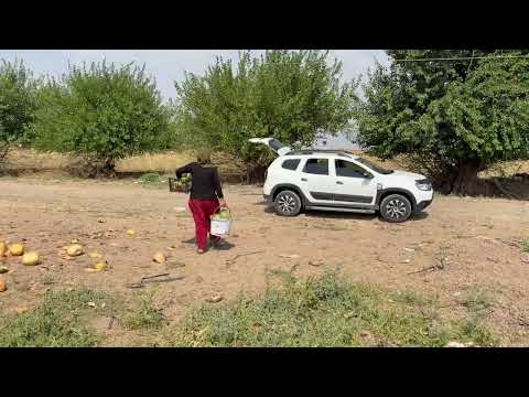 Sert Kış Öncesi Köy Yaşamı Belgesel Flim 4K