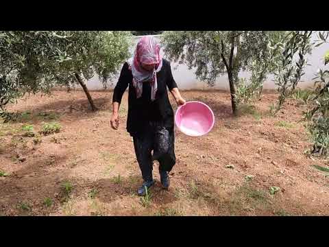 KÖYDE YAZ AYI KAZAN KAZAN YAPILAN EN LEZZETLİ YEMEĞİ ANNEM