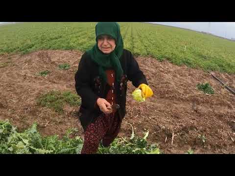 KÖYDE 1 YIL SONRA KANGAL ISIRGAN HASADI EV TANDIRINDA