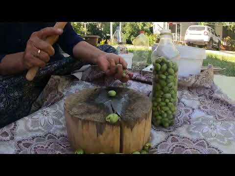 KÖY EVİMİZ ŞARK KÖŞESİ GÜZELLİĞİ ZEYTİN HASADI TANDIR