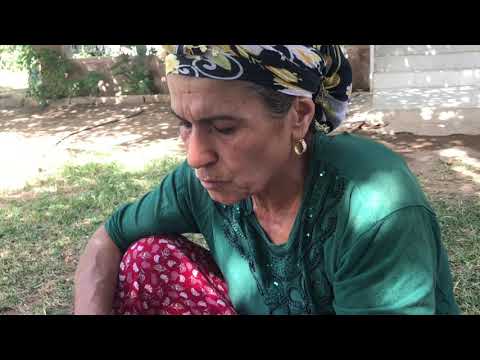 Yemek lik kışlık salatalık dolması ve turşu yapımı günlük