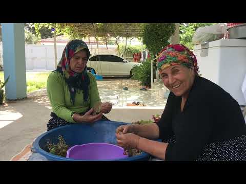 ANNEM İLE HALAM KURU ÜZÜM YAPIMI KÖY EVİ Köyde Yaşam