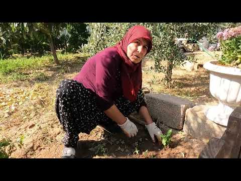 ABLAM GELDİ ANNEM KÖY EVİ YENİ KAPI PENCERE TAKILDI DEPREM
