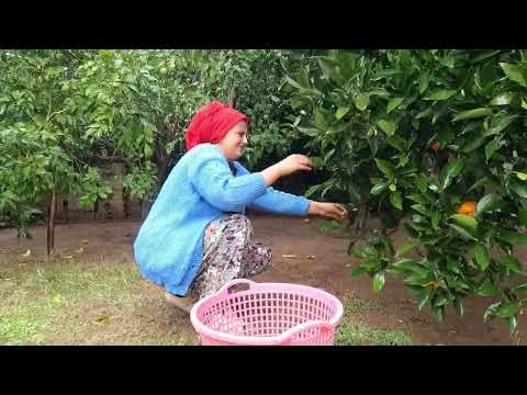 GELİN İLE KAYNANA SICAK SOBALI EV NEFİS TARİFLER LİMONLU