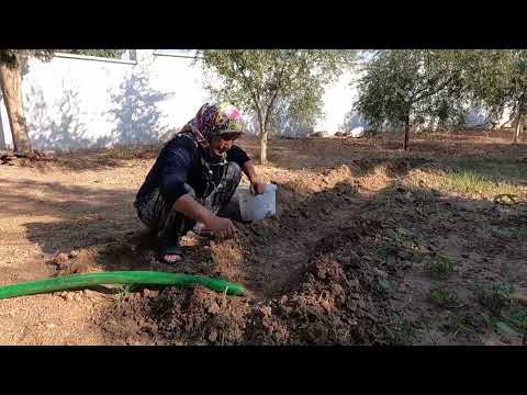 ANNEM İLE ABLAM GİDİYOR GİDİLECEK EN GÜZEL YERLER ODUN