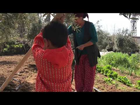 YENİ KÖY EVİMİZ MÜHTEŞEM DEĞİŞİM OLUYOR KÖYDE EV YAPMAK