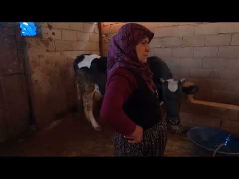 KÖY EVİ HALAM SOBALI SICAK EVİ AKŞAM TATLISI