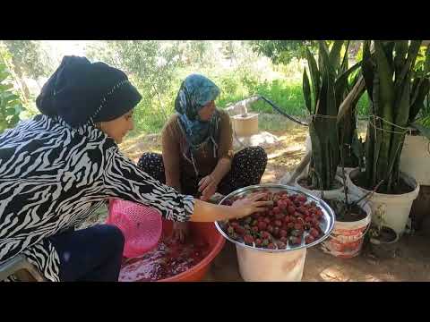 SÜPER DEĞİŞİM YENİ KÖY EVİ BAHÇESİ KÖYDE ORGANİK ÇİLEK
