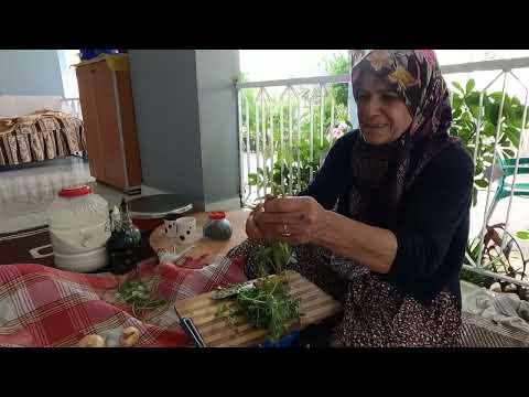 KÖYDE YENGEM İLE ANNEM İN YAPTIĞI DOLU DOLU SEMİZ OTU İLE