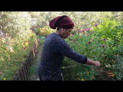 ABLAM GELDİ YENİ KEK KALIBI PATATES KÖFTESİNİ BİRDE BÖYLE