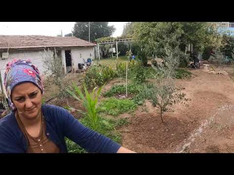 AKŞAM YEMEĞİ ABLAM VE YEĞENLER GELMİŞ Köy İşleri