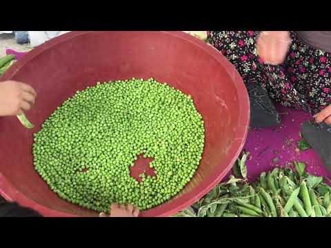 ANNEMİN EŞİMİN VE TÜM ANNELERİN ANNELER GÜNÜ KUTLU OLSUN