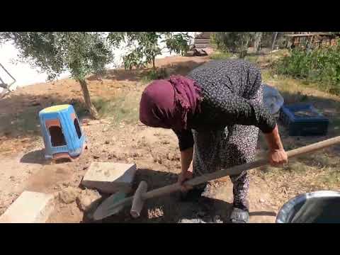 BÜYÜK BİR KAZAN DA YEMEKLİK BULGUR YAPIMI ANNEM KÖY EVİ