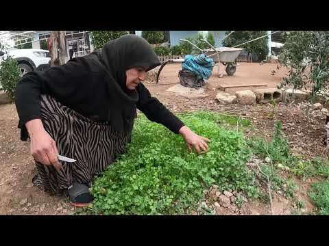 GELİN KAYINVALİDE KÖY HAYATI SICAK SOBA YANINDA ÖĞLEN