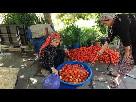 KÖYDE 3 GÜN EN ZOR KIŞLIK YAPIMI YILIN EN EN LEZZETLİ SALÇA
