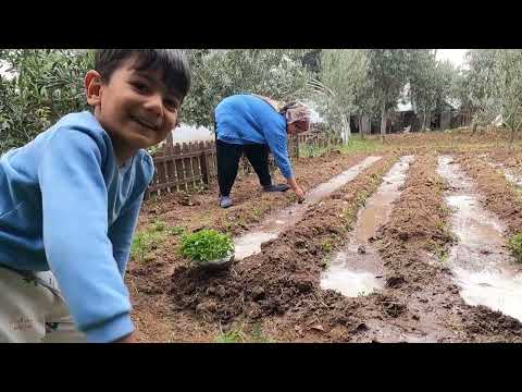 DEPREM SONRASI ANNEM İN EVİ YENİ ŞARK KÖŞESİ KOLTUK TAKIMI