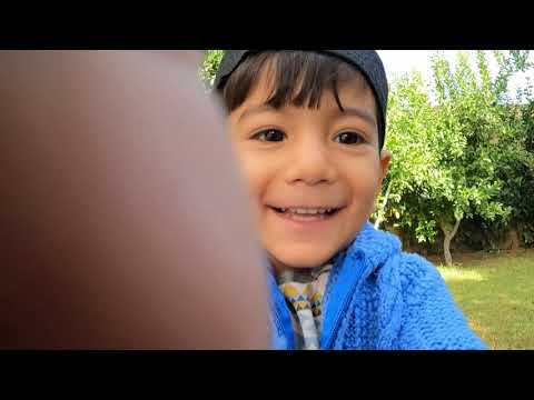 LEZZETLİ YEMEKLER İÇİN KABAK HASADI Köy Hayatı Organik