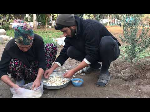 Odun ateşinde kuru kabak Öğlen yemeği günlük vlog Kənd
