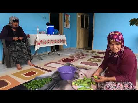 HALAM KÖY EVİ TEPSİ TEPSİ EN LEZZETLİ BÜYÜK KAZANDA YAPRAK