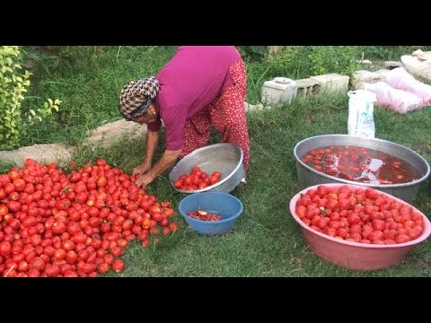 Yemek lik domates salça yapımı günlük vlog