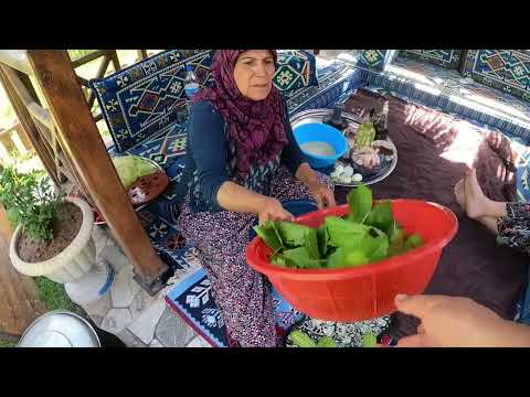 KÖY HAYATI ŞARK KÖŞEMİZDE İLK YAPRAK HASADI ETLİ KALEM