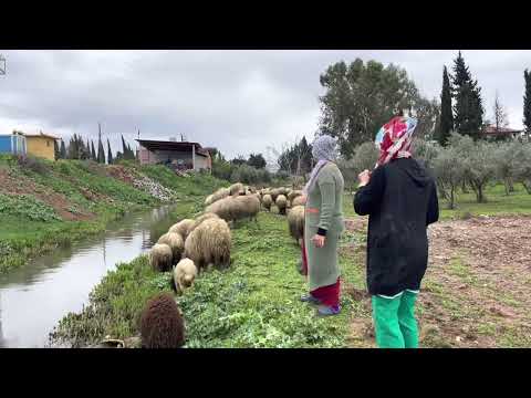 YAĞMURLU HAVADA SOBALI SICAK ÇADIR EVİMİZ ABLAM GELDİ Akşam