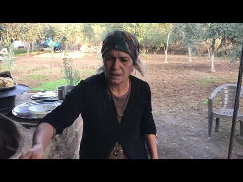 Odun ateşinde kabak Öğlen yemeği günlük vlog