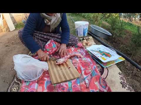 SACDA KUZU ÇİĞERİ KÖYDE LEZZET DOLU PRATİK SABAH KAHVALTI