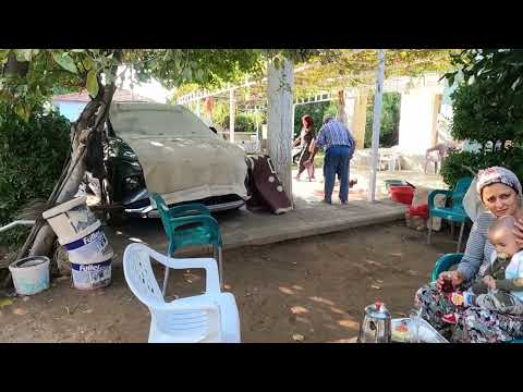 BÜTÜN KUZU ODUN ATEŞİNDE PİŞİRMEK YENİ ARABAMIZ İÇİN KÖY