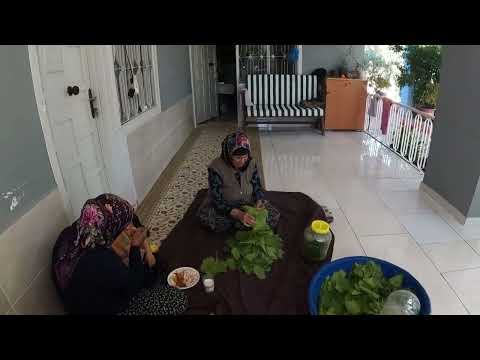 KÖY HAYATI YENİ ÇARDAK YAPIMI ETLİ KALEM SARMASI İÇİN