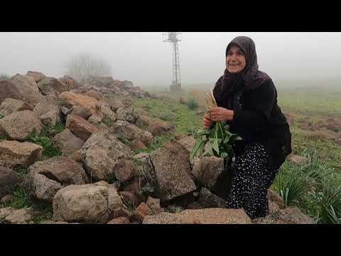 DAĞDAKİ İNANILMAZ ŞİFA 100 YILLARDIR KÖY KADINLARININ