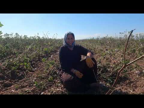 KÖYDE 1 YIL YEMEKLER VE KÖY EKMEĞİ İÇİN TOPLANAN YAKACAK