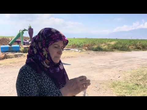 HALAMIN KÖY EVİNDE YENİ SÜPÜRGE HASADI ODUN ATEŞİNDE SABAH