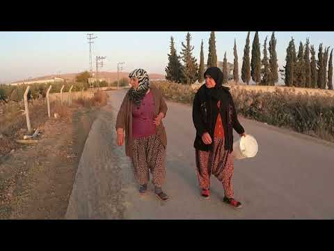 BİR YIL SONRA BEKLENEN İNANILMAZ TOPRAK YEMEĞİ BU LEZZETE