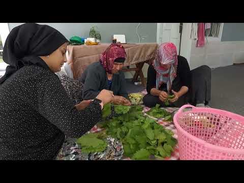 NENEM İLE ANNEM SEVDİĞİ BÜYÜK KAZANDA PİŞEN KÖY LEZZETİ