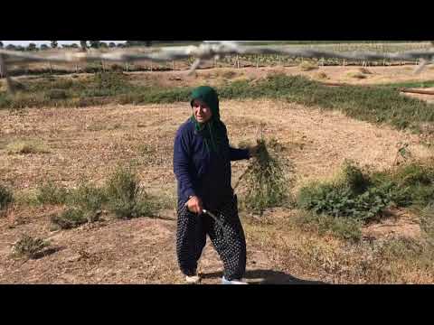 KÖY EVİ SÜPÜRGE YAPIMI LEZZETLİ PRATİK YEMEKLER İÇİN