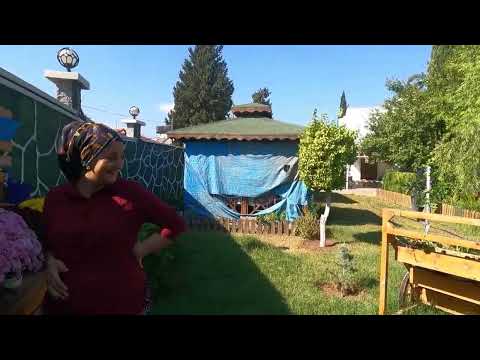 YENİ ÇİÇEKLER GELDİ KÖY EVİ BAHÇE YAPIMI VİLLAGE LİFE VLOG