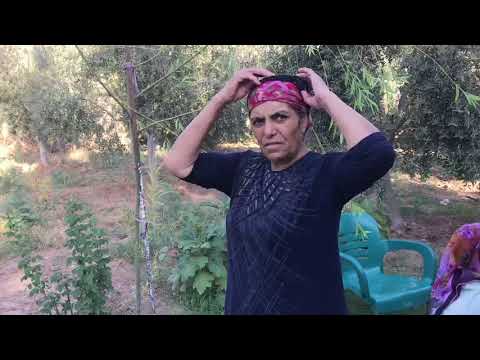 REKOR KIRAN LEZZETLİ KOLAY PRATİK TATLI TARİFİ Misafire