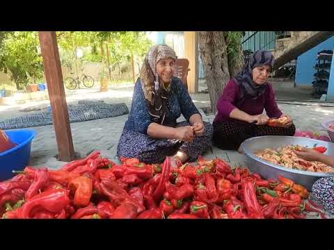 HALAM IN KÖY EVİNDE 1 SENE SONRA BİBER SALÇA YAPIMI KÖY