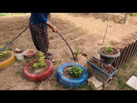 BİDON BİDON LEZZETLİ KÖY YEMEKLERİ İÇİN SALAMURA YAPIMI İLK