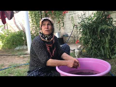 KÖY EVİMİZDE Kiraz Konserve Yaptık Kış Ayı İçin Konserve