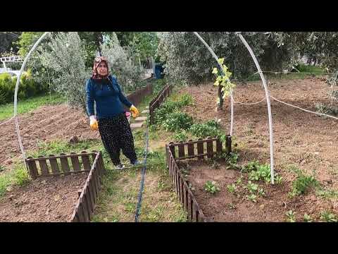 ANNEM KÖY EVİ BAYRAM TEMİZLİĞİ TEPSİ TEPSİ TAVUK SON İFTAR