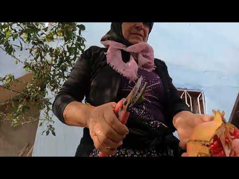 Köyde Nar Hasadı Ve İnanılmaz Doğal Nar Ekşisi Yapımı