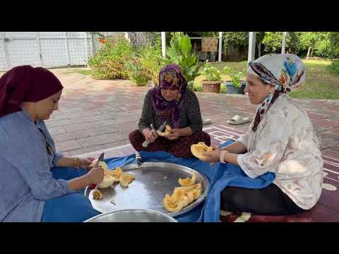 Köy Yaşamı Kabak Hasadı Kabak Tatlısı Yapımı Belgesel Kış