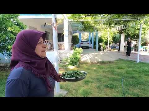 ABLAM GELDİ BEKLENEN SEMİZ OTLU GÖZLEME YEMEĞİ YENİ KÖY EVİ
