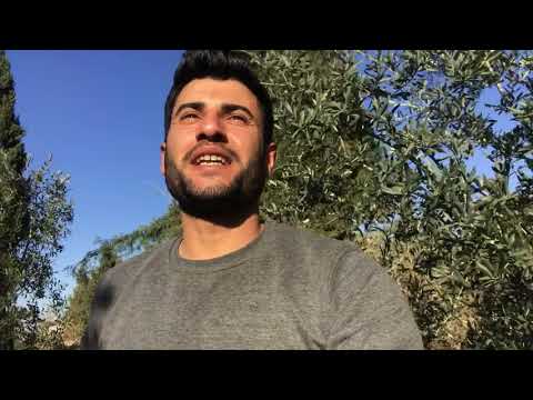 Odun ateşinde patates salatası öğlen yemeği günlük vlog köy