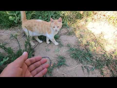 KITIR KITIR İNANILMAZ LEZZETLİ EL AÇMASI SU BÖREĞİ ANNEM