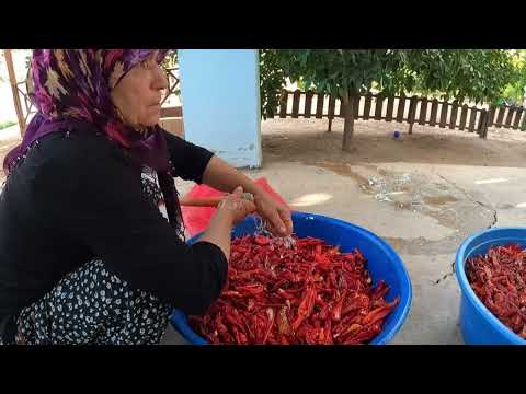 TEYZEM KÖY EVİNE ÇEŞİT ÇEŞİT KONSERVE YAPIMI ODUN ATEŞİ